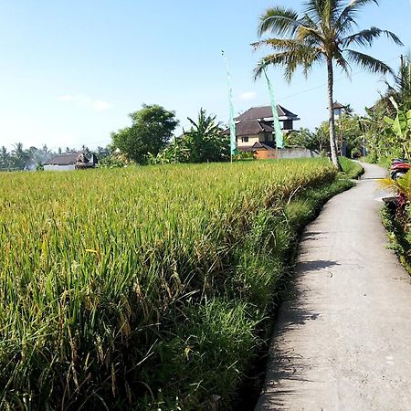 Jagi Villa Ubud  Exterior photo