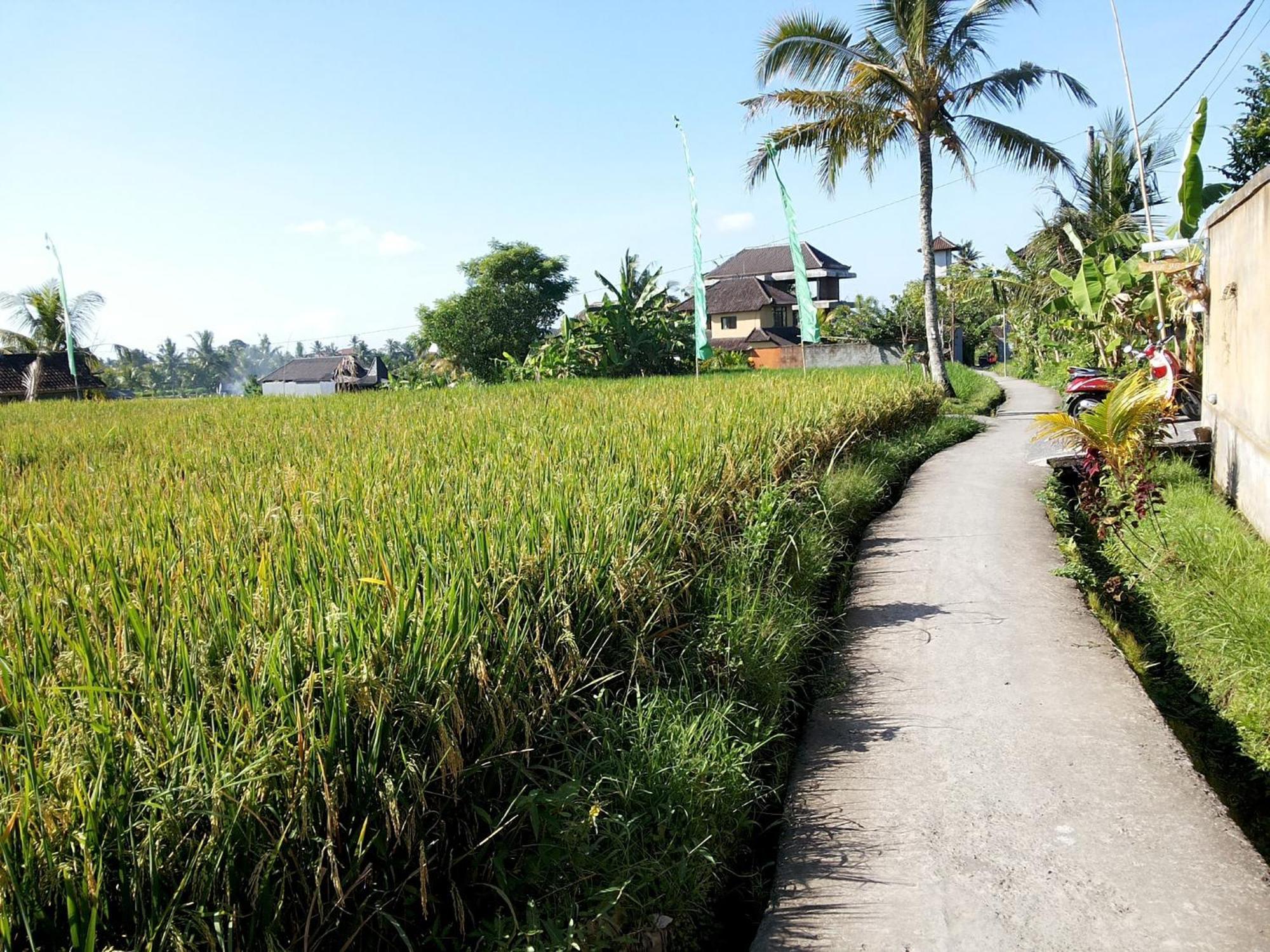 Jagi Villa Ubud  Exterior photo